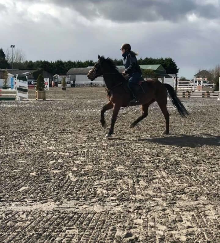 06 lena horse trot